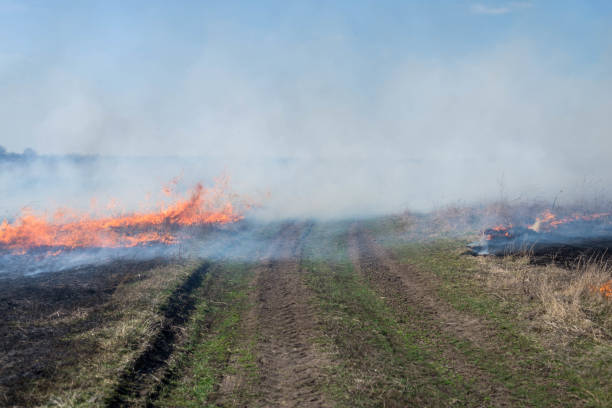 istock Fire on the field, countryside. 1211782730