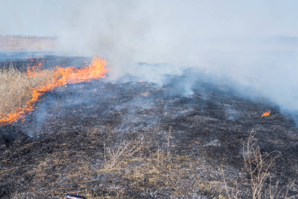 istock Fire on the field, countryside. 1211782732