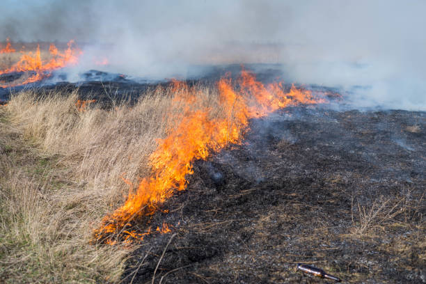 istock Fire on the field, countryside. 1211782733