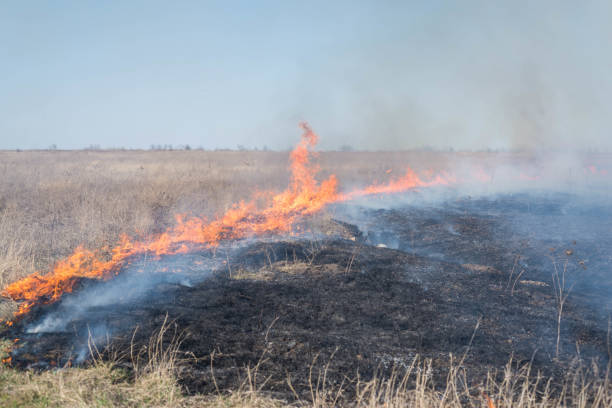 istock Fire on the field, countryside. 1211782735