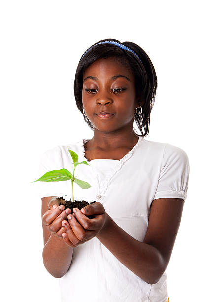 ragazza con pianta in mano - symbols of peace child human hand seedling foto e immagini stock