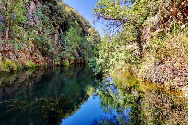 istock Reflections in the Guadalquivir River 1211785779