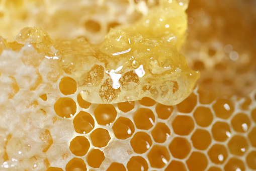 A DSLR close-up photo of honeycomb filled with honey. Space for copy.