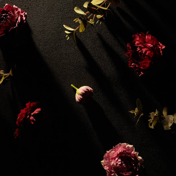 istock Moody floral concept - flower on dark textured background 1211791236