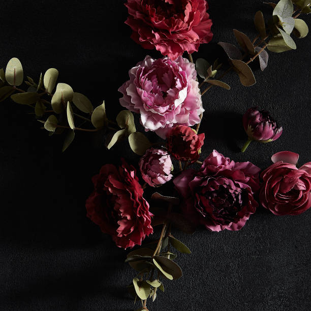 istock Moody floral concept - flower on dark textured background, square composition 1211792154