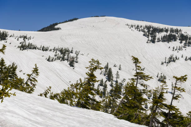 istock Mount Aizukomagatake in the spring 1211795943