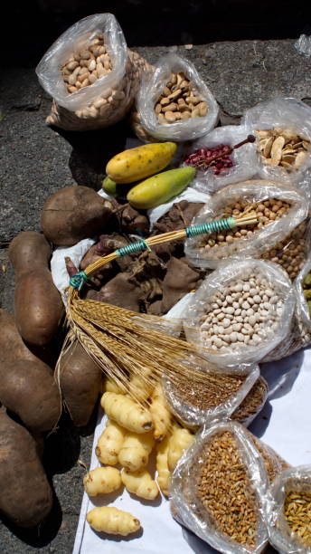 istock Fresh vegetables and potatoes and dried beans and grains 1211797469