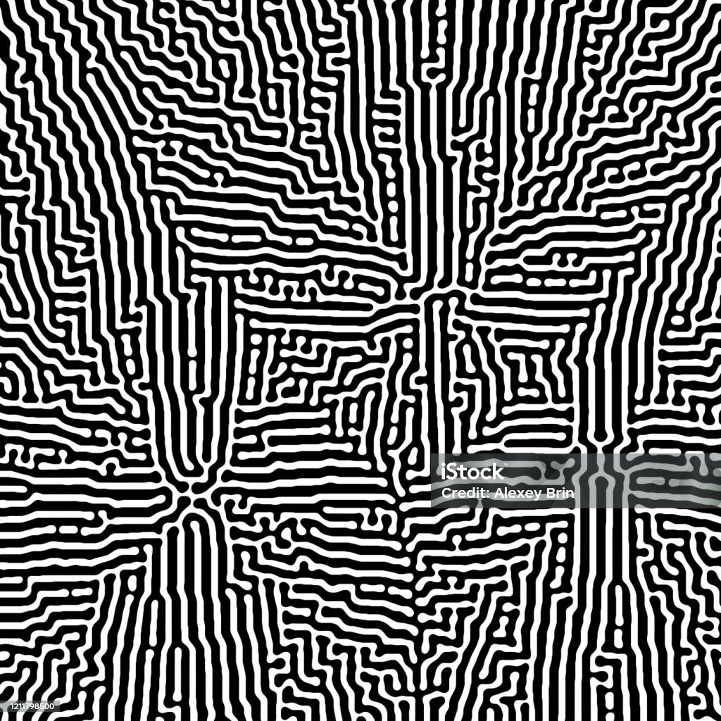 2d Diffusion Pattern 2d Black And White Reaction Diffusion Pattern Stock Photo - Download ...