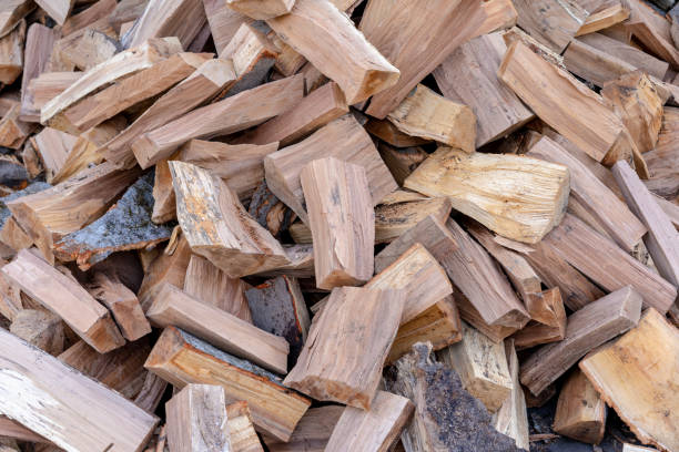 istock Firewood from a tree piled in a pile 1211799817