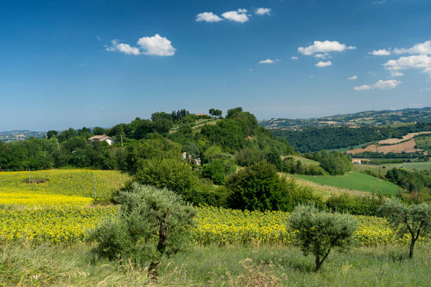 paisaje rural cerca de montegiorgio, marches, italia - 2838 fotografías e imágenes de stock