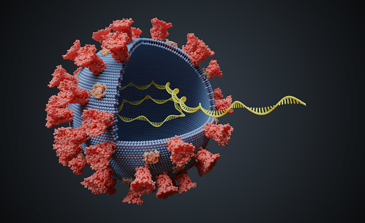 Virus con molécula de ARN en su interior. Concepto de genética viral. Ilustración renderizada en 3D. photo