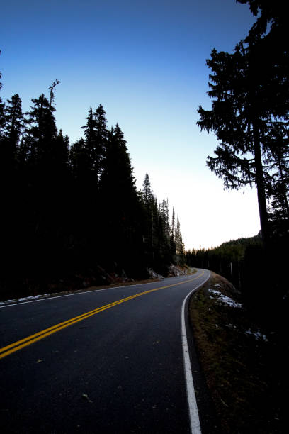 el camino en el bosque - day washington state vertical outdoors fotografías e imágenes de stock