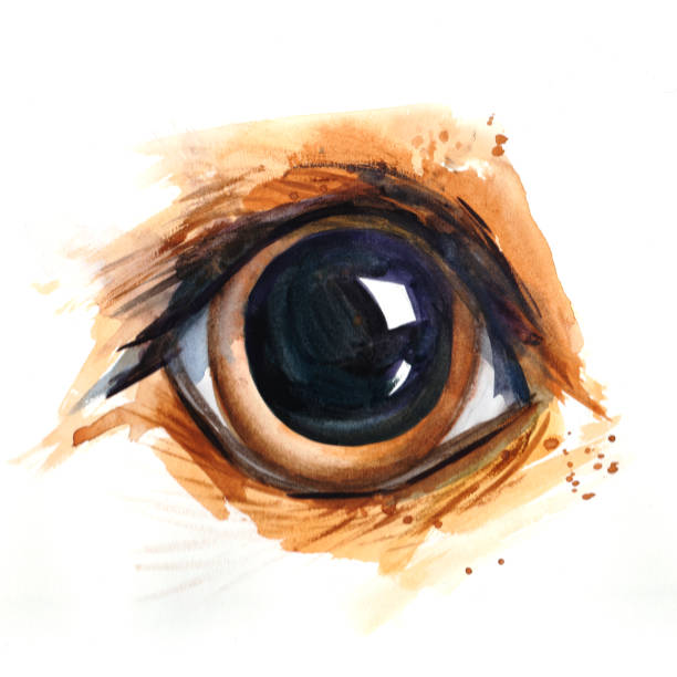 istock An animal's eye closeup drawn by hand. Watercolor illustration for your design 1211805887