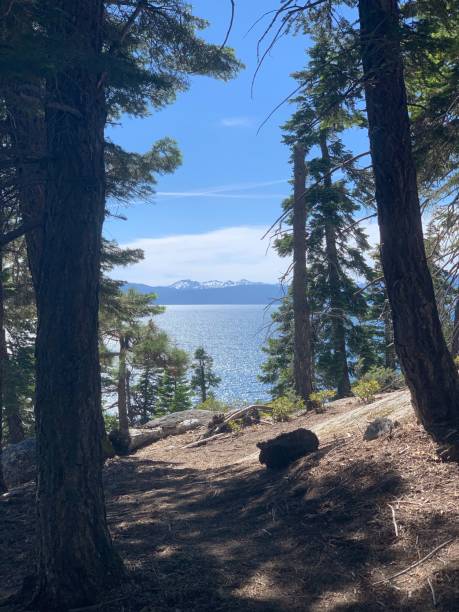 istock Beautiful Lake Tahoe 1211807100