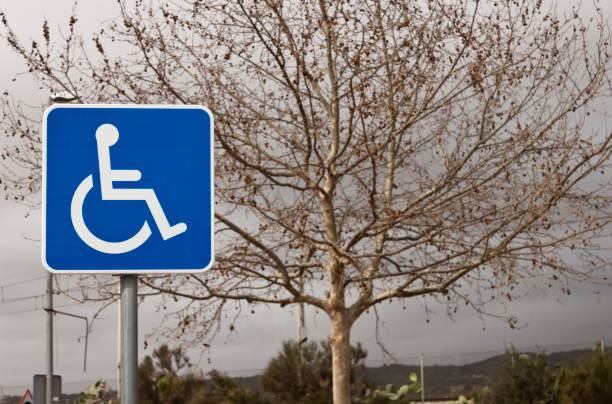 istock Handiccaped reserved parking lot sign with a tree on background. 1211807769