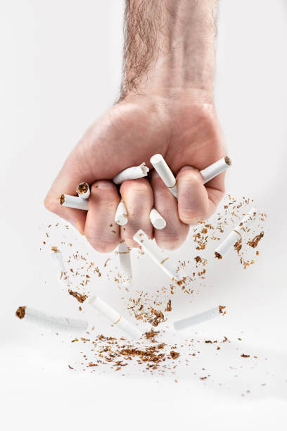 the concept of nicotine addiction and anti-smoking. a man's fist squeezes the cigarettes, breaking them into small pieces. white background. vertical. copy space - nicotine healthcare and medicine smoking issues lifestyles imagens e fotografias de stock