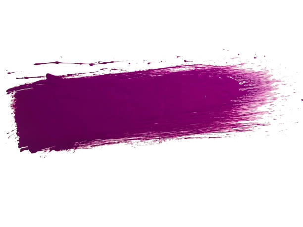 Single purple paint brush stroke