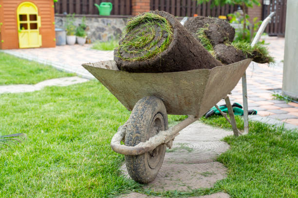 istock Gardener applying turf rolls in the backyard 1211810653