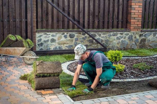 istock Gardener applying turf rolls in the backyard 1211810748