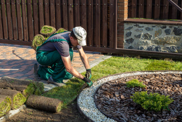 istock Gardener applying turf rolls in the backyard 1211810781