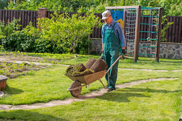 istock Natural Grass Turf Professional Installer. Gardener Installing Natural Grass Turfs Creating Beautiful Lawn Field. 1211811507