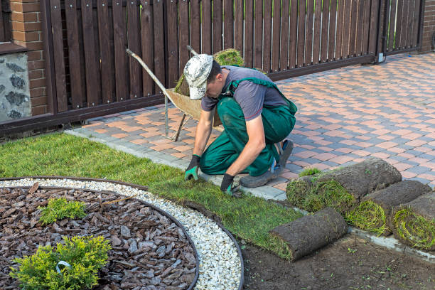 istock Gardener applying turf rolls in the backyard 1211811543