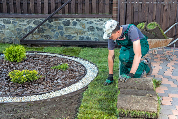 istock Gardener applying turf rolls in the backyard 1211811609