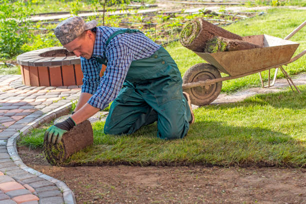 istock Natural Grass Turf Professional Installer. Gardener Installing Natural Grass Turfs Creating Beautiful Lawn Field. 1211811637