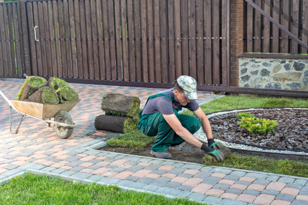 istock Gardener applying turf rolls in the backyard 1211811648