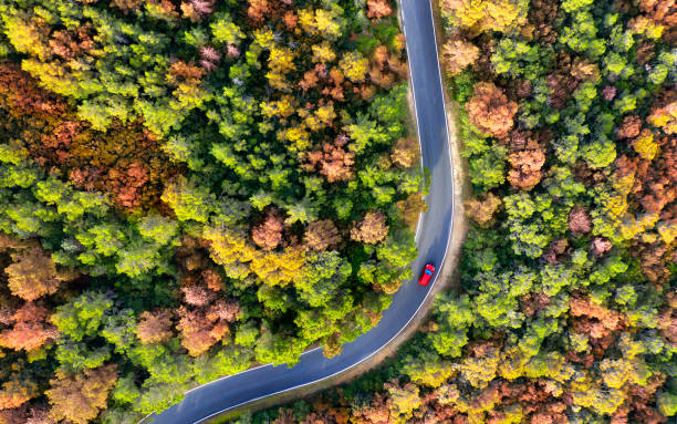 widok z lotu ptaka na samochód na krętej drodze przez las. - road winding road car country road zdjęcia i obrazy z banku zdjęć