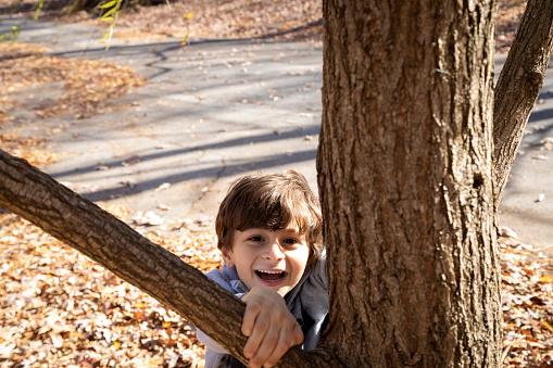 A little boy climbs a tree.  He is smiling and looking at the camera as he holds a branch and pulls himself up.  He has brown hair and brown eyes.  It is autumn, you can see brown leaves on the ground.