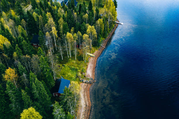 vue aérienne de dessus de la cabane en rondins ou du chalet avec sauna dans la forêt de source au bord du lac en finlande - finland sauna lake house photos et images de collection
