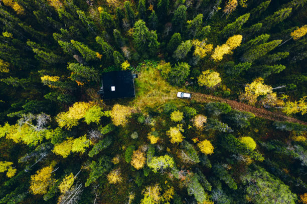vue aérienne de dessus de la cabane en rondins ou du chalet avec la route de campagne dans la forêt de source en finlande - finland sauna lake house photos et images de collection