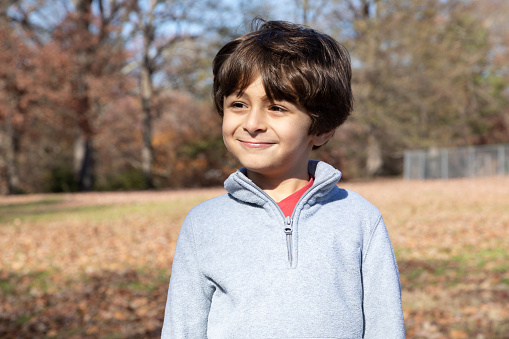 A little boy with brown hair in the park.  It is autumn, you can see leaves on the ground.  He is wearing a gray sweater.  He is looking off camera.  He has brown hair and is of Iranian ethnicity.  He has a slight, mischievous smile on his face.