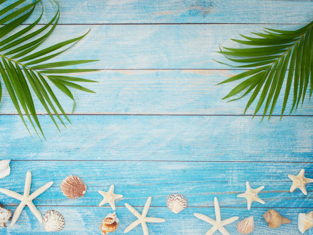 istock Summer holiday concept with palm leaves, seashells, starfish on light blue background. 1211814713