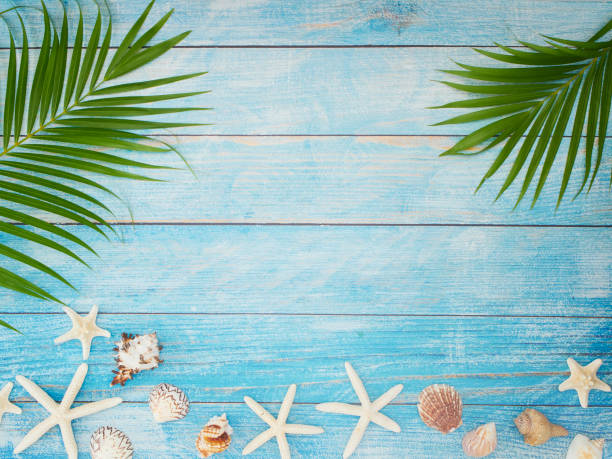 istock Summer holiday concept with palm leaves, seashells, starfish on light blue background. 1211814743
