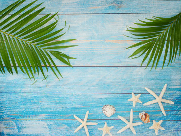 istock Summer holiday concept with palm leaves, seashells, starfish on light blue background. 1211814768