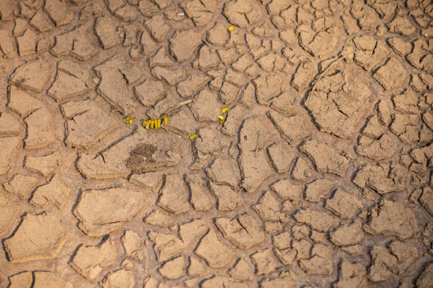 istock Cracked ground from rural droughts and water shortages 1211814820