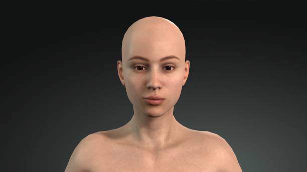modello femminile 3d. faccia modello femminile senza trucco. viso umano 3d senza capelli. - hairstyle human hair women human face foto e immagini stock