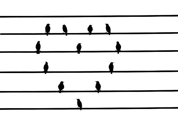 istock Powerline Love Birds 121181885