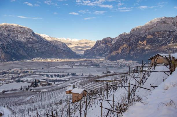 istock winter in Trentino 1211818891