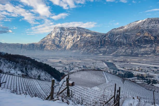 istock winter in Trentino 1211818935