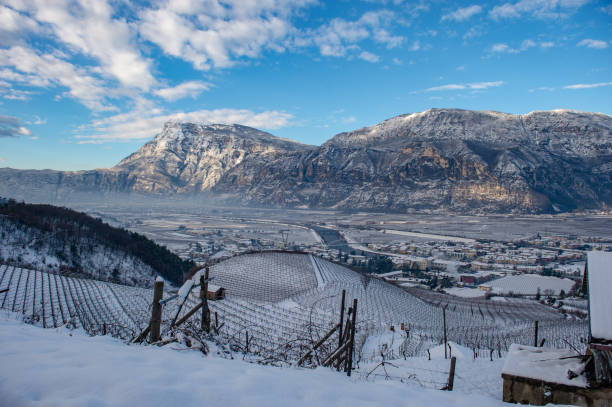 istock winter in Trentino 1211818957