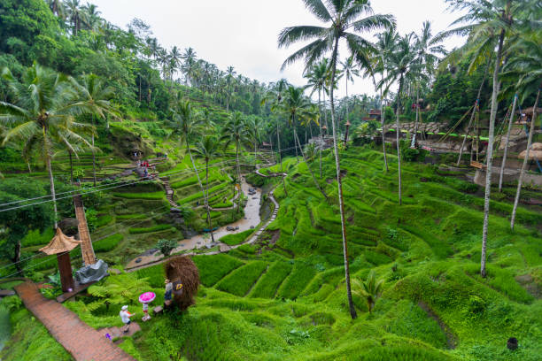istock Beautiful rice terraces, Ubud, Bali, Indonesia 1211819139