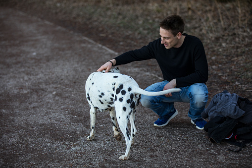 Young Adult Stroking Dalmatian Dog Outdoors.