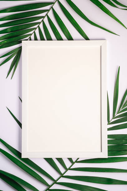 istock White picture frame with empty template on palm leaves, white background, mockup card 1211820164