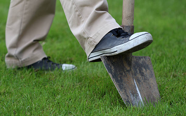 istock Cultivate your garden 121182019
