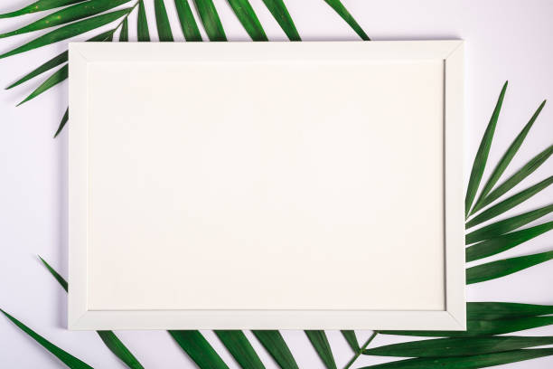 istock White picture frame with empty template on palm leaves, white background, mockup card 1211820228