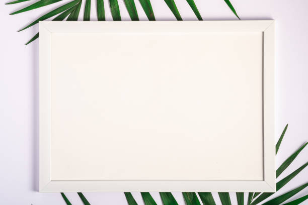 istock White picture frame with empty template on palm leaves, white background, mockup card 1211820239