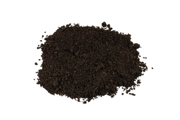 istock A handful of earth isolated on white background. 1211820754